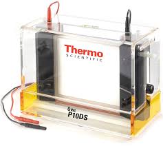 Cubas de electroforesis verticales de 20 x 20 cm (modelo P10DS-2)