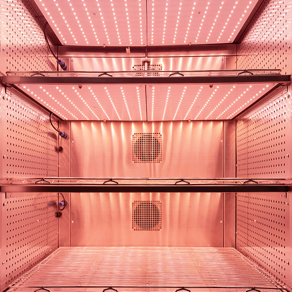 Cámara de crecimiento vegetal de 800 L – BPC800H - Imagen 4