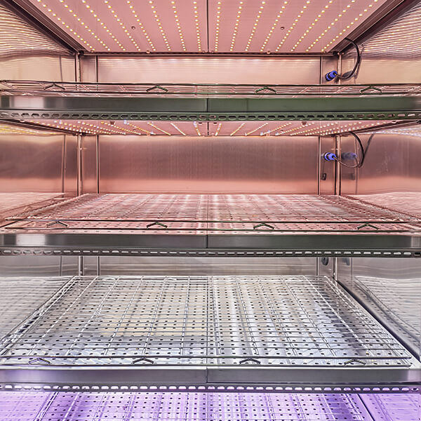 Cámara de cultivo de tejidos de 300 L – TCC300 - Imagen 6