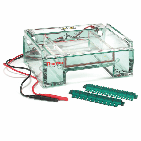 Cubas de electroforesis horizontales de 12 x 14 cm (modelo B2)