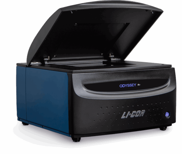 Sistema generador de imágenes por fluorescencia IR LICOR Odyssey DLx Imager - Imagen 5