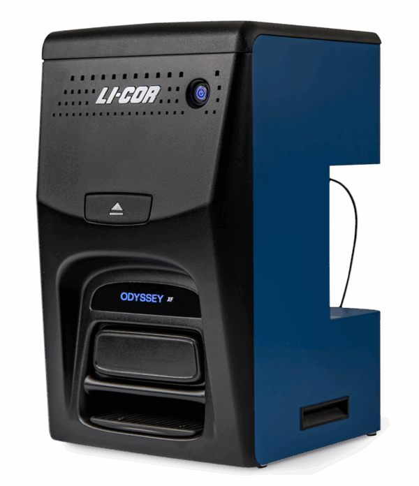 Sistema generador de imágenes por fluorescencia IR y quimioluminiscencia (Odyssey XF Imager) - Imagen 3