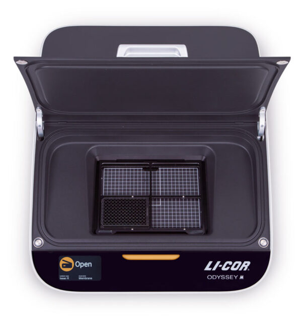 Sistema generador de imágenes por fluorescencia IR y quimioluminiscencia LICOR Odyssey M Chemi-Fluo Imager - Imagen 6