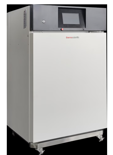 Incubadora microbiológica refrigerada de 150 litros modelo RI150