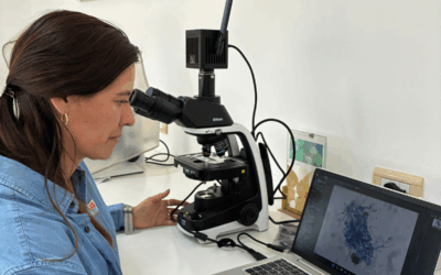 🧪 Nueva instalación en INTA Salta: Nikon Eclipse Ei para fortalecer la investigación científica